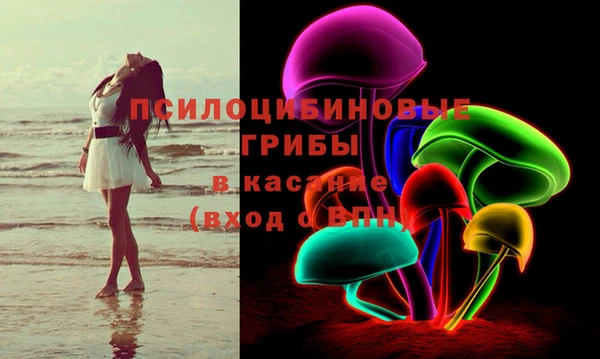 соль ск Абаза
