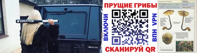 продажа наркотиков  Элиста  Псилоцибиновые грибы прущие грибы 