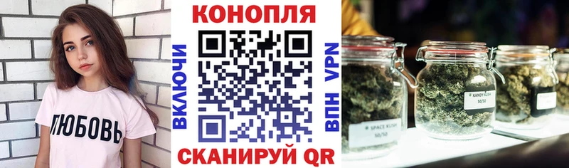 Каннабис сатива  Элиста 